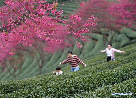 福建漳平怎樣？一個值得探索的風土人情之寬